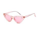 Laurinny Retro Vintage Cat Eye Sunglasses Women Clout Goggles Glasses (C18)