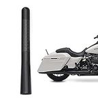 Bingfu Motorcycle Carbon Fiber Ante