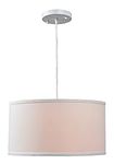 Kenroy Home 93620WH Paige 1 Light P