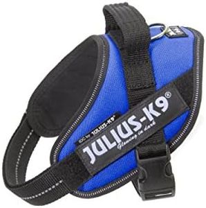Julius-K9,