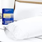 1000 Thread Count 100% Egyptian Cot