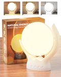 Light Therapy Lamp 10000 Lux UV-Free, 210° Rotation Sunlight Lamp with 3 Color Temperature, 5 Brightness Levels, 4 Timer Settings, with Memory Function (White)