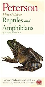 Peterson First Guide To Reptiles And Amphibians