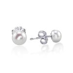 Limerencia Hypoallergenic F136 Pure Ttitanium Handpicked White Freshwater Cultured Pearl Earrings G23 Implant Grade Piercing Studs (6mm - 6.5mm, Titanium)