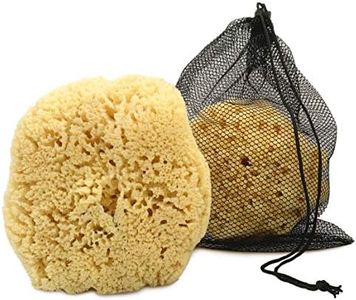 Real Sea Sponge for Men - Extra Large 6"-7", Totally Natural, Kind on Skin for an Invigorating Shower, Supplied in Breathable Mesh Bag. Great for The Gym, Grooming, Bath & Body Gift by Constantia Man