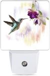 Jopowide Groovy Hummingbird Flowers Dusk to Dawn Night Light, Auto Sensor Lamp Home Indoor Stairway Kitchen Corridor, Night Lights Plug into Wall Decor, Boys Girls Women Men Room Gifts