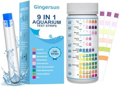 Gingersun 