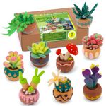 Axmru Needle Felting Kit 9 Pcs Succulent Wool Felting Kit Needle Felting Starter Kit with Needle Felting Tools and Supplies Felting Wool Needle Felting pad and Instruction for Beginners