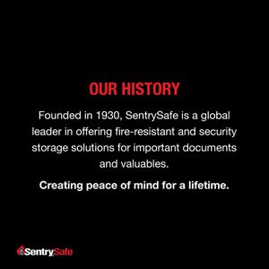 SentrySafe Fireproof Waterproof Safe – Secure Home Storage