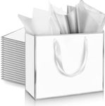 ReliThick 12 Pack Metallic Paper Gi