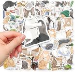 Bailanteバイランデ 50PCS Fashion Shoes Stickers, Laptop Stickers, Graffiti Vinyl Waterproof Stickers for Phone Pad Skateboard Bicycle Luggage Water Bottles, Stickers for Kids Teens Adult (Funny Cats)