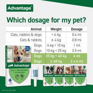 Advantage Flea Treatment for Extra Large Dogs – Fast-Acting Solution