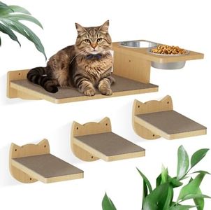 MeowHomm C