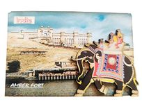 Rajasthan - Amber Fort with Elephant - 3 D Fridge Magnet