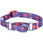 Martingale Collar - Large, Irish Blue: Blueberry Pet Spring Scent Inspired Rose Print Safety Training Martingale Dog Collar, Irish Blue, Large, Heavy Duty Adjustable Collars for Dogs