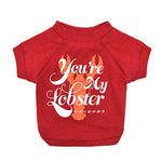 Friends the TV Show You're My Lobster Dog T Shirt in Red | Soft Dog Shirt, Machine Washable Pull-Over Dog Tshirt, Light Weight & Semi-Stretch | Size Medium for All Small to Medium Sized Dogs