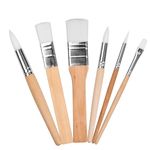 Wooden Paint Brushes Set of 6 Nylon Hair Paint Brushes Professional Artist Paint Brushes Round Flat Pointed Tip Painting Brushes Chip Paintbrushes for Watercolor, Acrylic, Gouache and Oil Painting