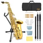 SONICAKE Eb Alto Saxophone Complete Set Beginner-Friendly Saxophone Kit with Carry Case, Mouthpiece, Reeds and Accessories Gold