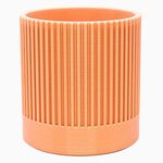 Astra3DP Semi_Stripped Cylinder, Pen and Pencil Holder, Desk Organiser, Gifts for Friends, Family, Students and Executives, Space Saving Office Stationery, Pack of 1 (Apricot Skin)