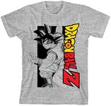 Bioworld Dragon Ball Z Goku Rotated Logo Boy's Athletic Heather T-Shirt-XL