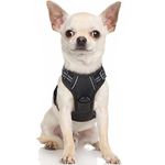 Small Dog Harnesses