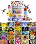 HOME GROWN 44,000 Wildflower Seeds:
