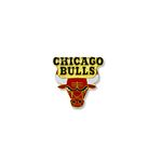 NBA Chicago Bulls Logo Pin