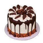 The Chocolate Orange Cake | Delicious Handmade Cakes | Freshness Guaranteed | Baked Daily by Professional Bakers | For All Occasions | Serves 10