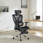 Ergonomic Office Chair, High Back M