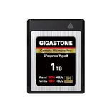 GIGASTONE 1TB Camera Ultimate Pro CFexpress Card Type B Memory Card, XQD Type, High Speed up to 1800MB/s Read, 1600MB/s Write, Raw 8K Video Recording for DSLR Canon Nikon Sony Panasonic Camera