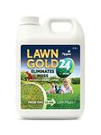 Lawn Gold 24 Overnight Moss Remover & Fertilizer 1 Litre