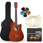 Acoustic Guitar Brand For Beginner