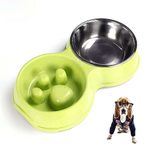 Arightmu Double Slow Feeder Dog Bowl,Puppy Anti-choke Water Bowl,Food Puppy Feeder for Cat Dog Stainless Steel Detachable Dish and Non-Slip Bottom (Green)