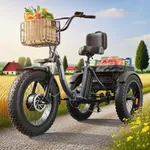 QRONGE Electric Trike for Adults 96
