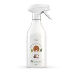 Inoscent Ant Killer Spray (500ml) for Indoor and Outdoor - Non-Toxic, Pet & Family Safe. Eco Friendly, Non-Staining | Kills on Contact. Ant Control for Home & Garden