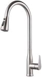 Xiiwin Kitchen Faucet with Pull Down Sprayer Brushed Nickel Pull Out Sink Faucet High Arc Single Handle for Laundry Farmouse Camper RV Bar