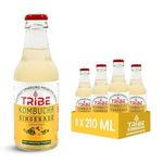 Tribe Kombucha Naturally Sparkling Probiotic Herbal Tea | Ginger & Lemon | Gut Friendly | Gluten free | Antioxidant and Hydration| Ginerade | Pack of 12 |330 ML