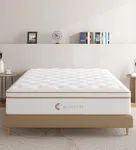 KOANTTI Queen Size Mattress,12 Inch