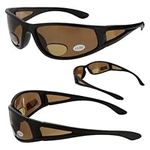 Ragged Bronze Polarized Bifocal Sun