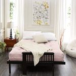 Trupedic Queen Size 10-inch Futon Mattress