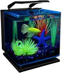 GloFish Betta Shadowbox Aquarium Ki