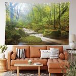 Ambesonne Woodland Tapestry, Forest Scene at Golitha Falls Nature Reserve on The River Fowey Cornwall England, Wide Wall Hanging for Bedroom Living Room Dorm, 60" X 40", Green Brown