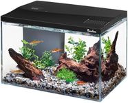 PONDON 5 Gallon Fish Tank with Deta