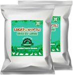 LuckyQworms Dried Black Solidier Fly Larvae 10LBS, 85X More Calcium Than Mealworms High-Protein BSF Larvae Chicken Treats Non-GMO BSFL for Chickens, Hens, Ducks, Wild Birds