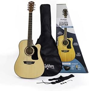 Washburn 6