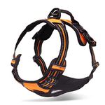 Front Range No Pull Dog Harnesses