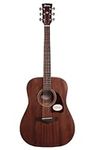 Ibanez AW54OPN Artwood Dreadnought 