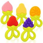 SHARE&CARE BPA Free Silicone Fruits Baby Teething Toy with Storage Case, for 3 Months Above Infant Sore Gums Pain Relief, Set of 5 Different Teethers (Assorted)