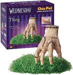 Chia Pet Thing - Wednesday with Seed Pack, Decorative Pottery Planter, Easy to Do and Fun to Grow, Novelty Gift, Perfect for Any Occasion