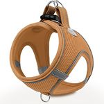 Joytale Small Dog Harness, Breathab